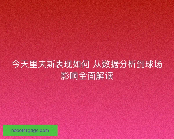 今天里夫斯表现如何 从数据分析到球场影响全面解读